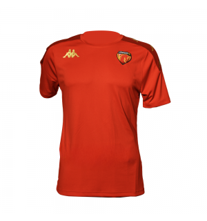 Tshirt d'entraînement - Adulte