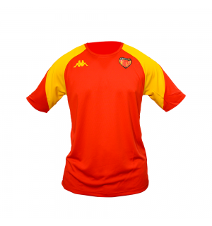 Tshirt d'entraînement - Adulte